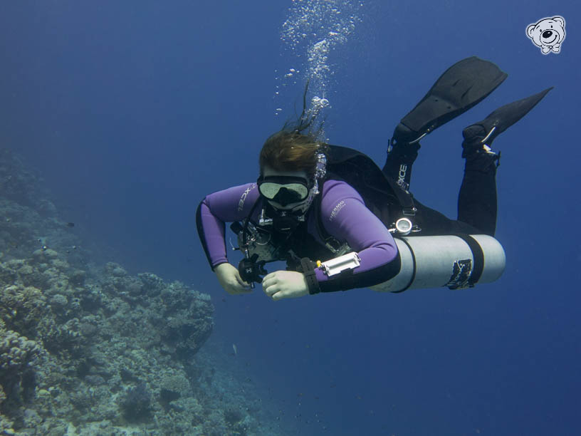 Frau taucht Sidemount mit zwei Flaschen, Unterwasser Tauchen Sidemount-System, technisches tauchen Unterwasser