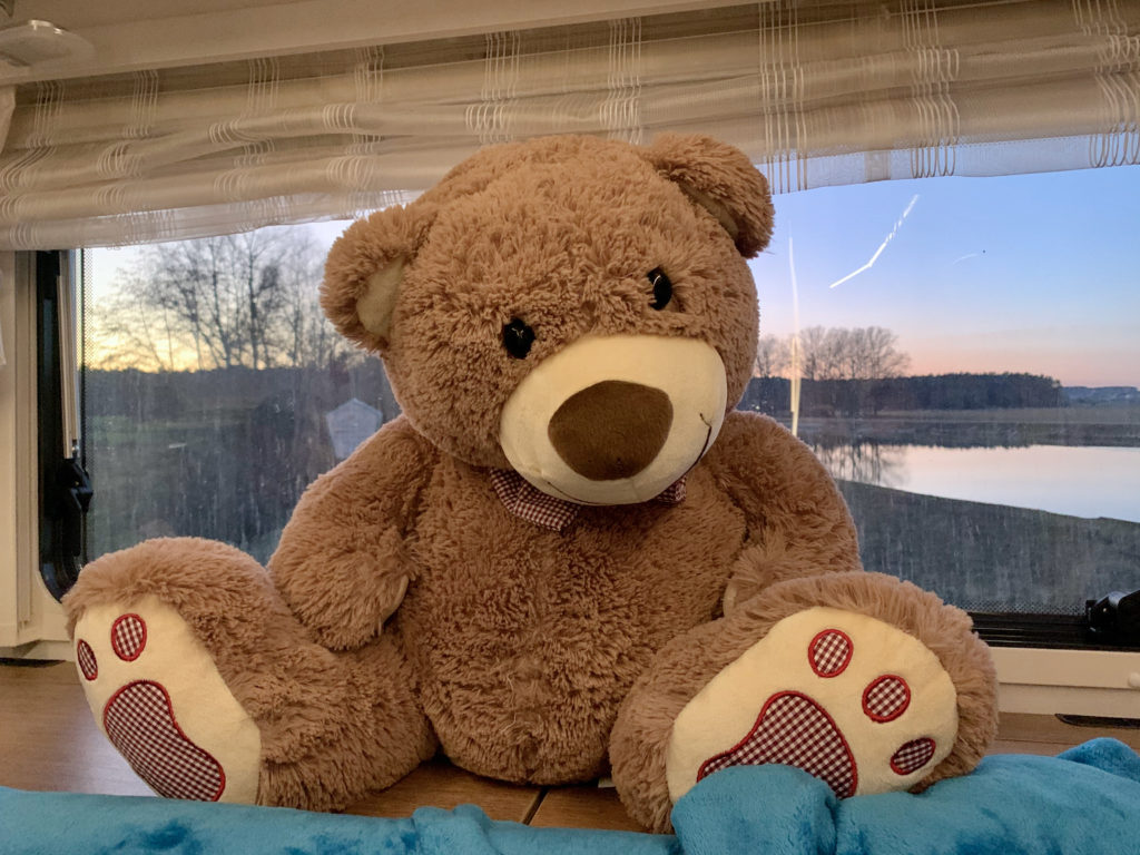 Teddy Bär sitzt im Wohnmobil vor dem Fenster bei Sonnenuntergang
