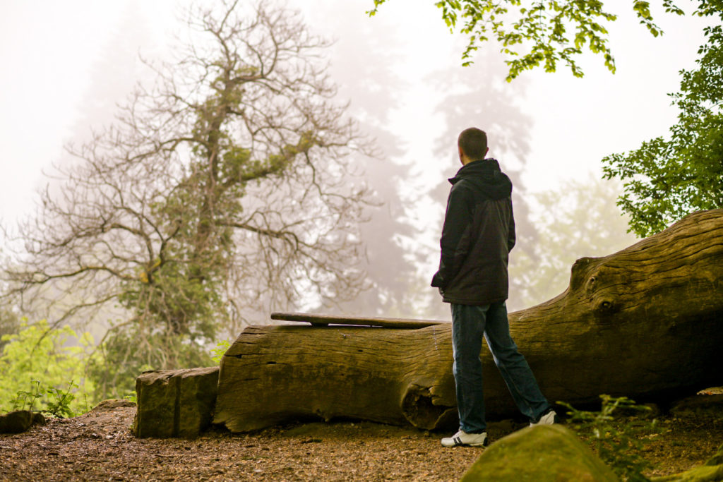 Mann von hinten im nebeligen Wald, Blickt in die Ferne: Heidelberg