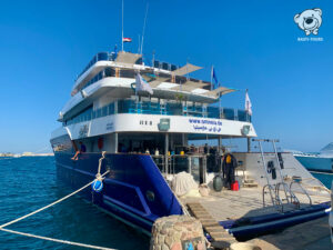 20191024Basti Tours Omneia Spirit Tauchsafari Red Sea 2019 1455 export