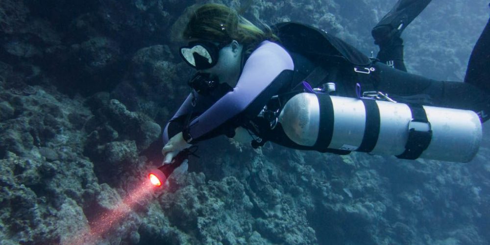 Sidemount Taucherin Unterwasser mit Tauchanzug in Übergröße, Neoprenanzug Damen